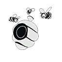 The Bee Team