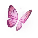 Olivia's Butterfly Wings